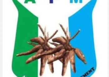 Resort To Attack Shows Tinubu Is Afraid Of Election – APM
