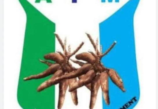 Resort To Attack Shows Tinubu Is Afraid Of Election – APM