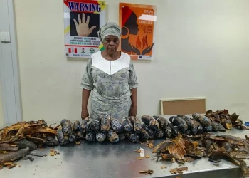 NDLEA arrests UK-based grandma with 13kg cocaine disguised as plantain