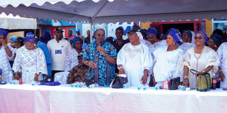 2027: APC Women Pledge 95% Votes for Tinubu, Back Yiwalda NWC