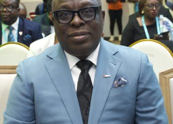 IPPG urges bold reforms to unlock Nigeria’s full energy potential