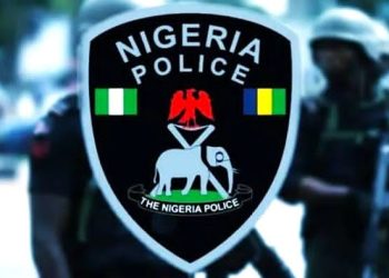 Police arrest suspected armed robber, recover stolen tricycle in Oyo