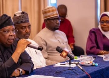 No electricity tariff increase for now – FG