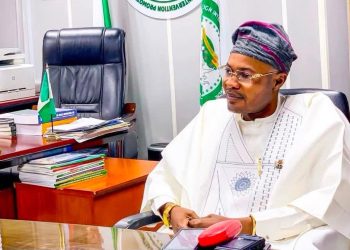 Adeyemi vows to hand PFIPC documents to DSS