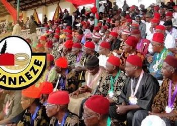 Ohanaeze Ndigbo Community in Ondo Disowns Political Arm