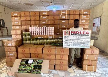 NDLEA intercepts UK shipments of Colos in Lagos, arrests seven suspects