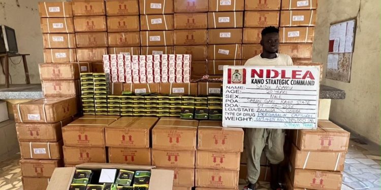 NDLEA intercepts UK shipments of Colos in Lagos, arrests seven suspects