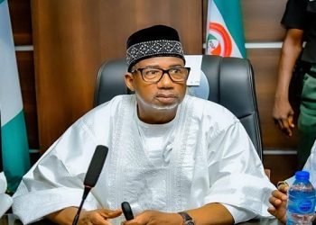 Bauchi Govt Warns 47 Vigilante Arrests Could Create Security Vacuum