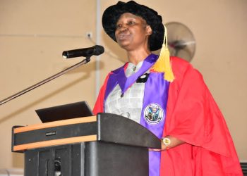 Don Seeks Synergy Between Technology, Human Learning
