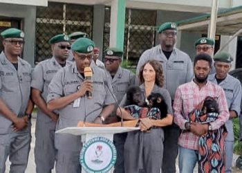 Custom Intercepts 48 Endangered Wildlife Species, Generate N88.9bn In 8 Months
