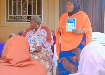 Group Sensitises Women, Adolescents on GBV, Child Abuse in Bauchi
