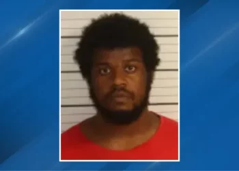 This is not funny! 27-year-old man allegedly beats mother with baseball bat over food