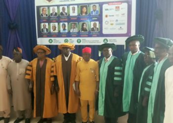 Don Urges FG, Investors to Boost Renewable Energy Technology Funding