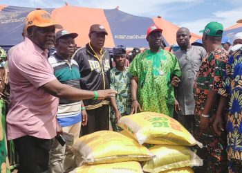 2027: 1,200 Benefit as JDS Mobilises Support for Tinubu