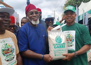 World Food Day: Mbah Has Created Safe Environment for Large-Scale Agriculture – Nnaji